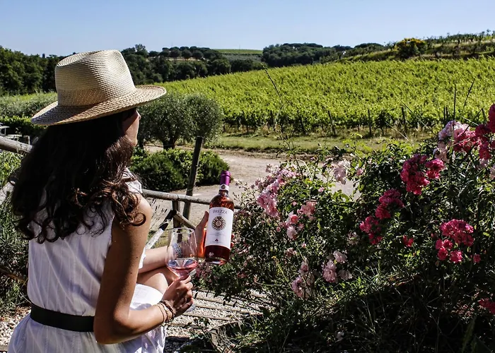 Poggio Alle Vigne